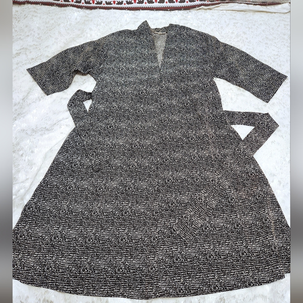 Chic ALine Shirt Dress